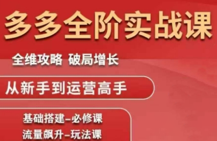 大炮·拼多多全阶实战课程（更新2026）