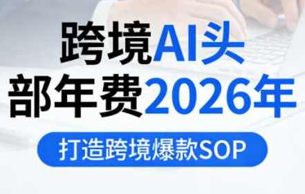 跨境AI头部年费2026年，打造跨境爆款SOP