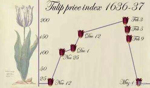 郁金香5678,花园文章1-16期,含量价筹码情绪流推演竞价体系,课程,第1张 郁金香5678,花园文章1-16期,含量价筹码情绪流推演竞价体系,课程,第1张