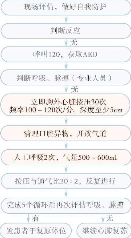 40多种急救技能求生技能视频教学,课程,学习,收藏,第1张