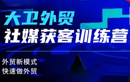 大卫老师·外贸社媒获客独家训练营（更新2月）,课程,外贸,第1张
