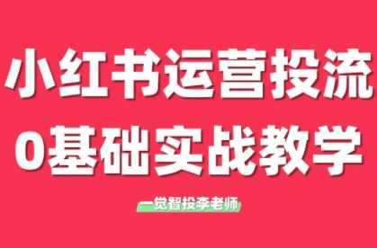 李老师·小红书运营投流，0基础实战教学（更新2月）,课程,学习,直播,理解,微信,教育,摄影,数据分析,第1张