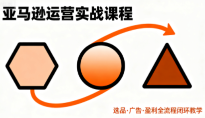毕方电商·亚马逊全站会员课程（更新3月）,课程,学习,目标,定位,模板,竞争,电商,创新,数据分析,第1张