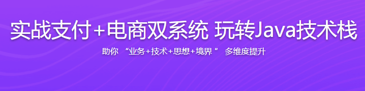 实战支付+电商双系统 玩转Java技术栈